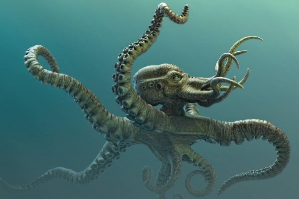 Kraken 11at