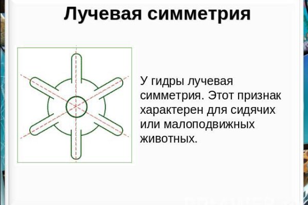 Кракен что это магазин