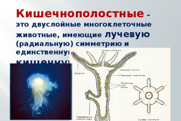 Ссылки на кракен com