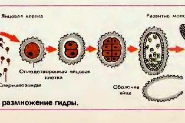 Кракен зеркало впн