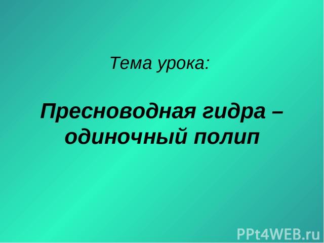 Зайти на кракен рабочее зеркало